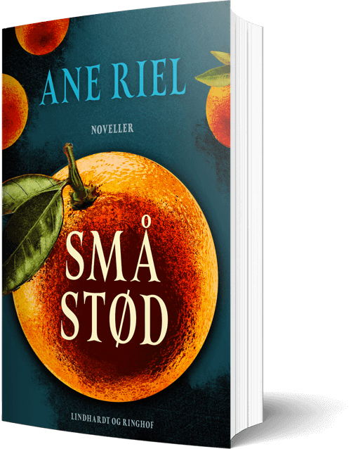 Små Stød - noveller af Ane Riel