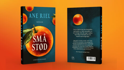 SMÅ STØD er udkommet! - Forfatter Ane Riel